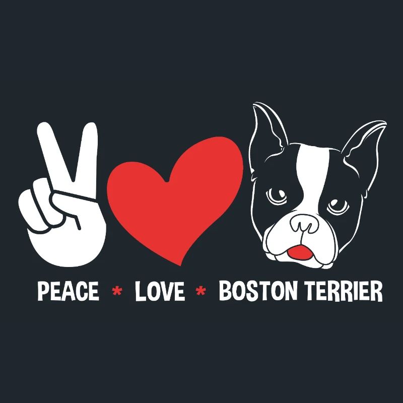 Boston Terrier