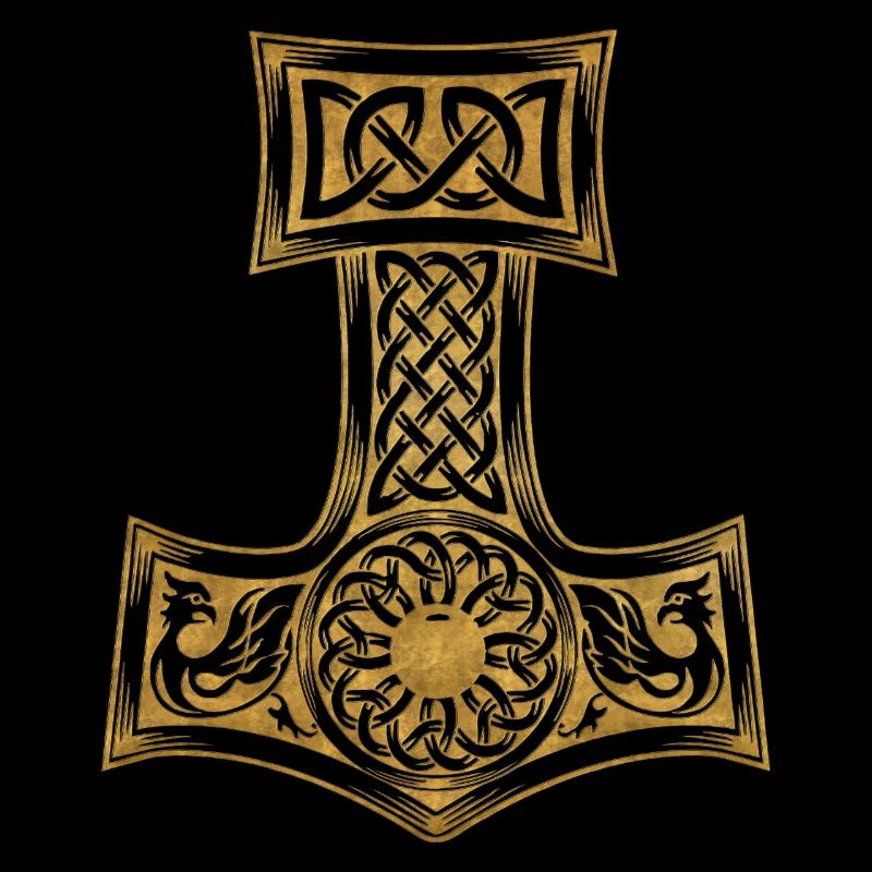 Vikings norden valhalla suède scandinavia flaga
