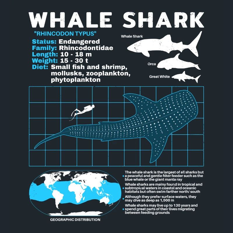Whale Shark Datasheet