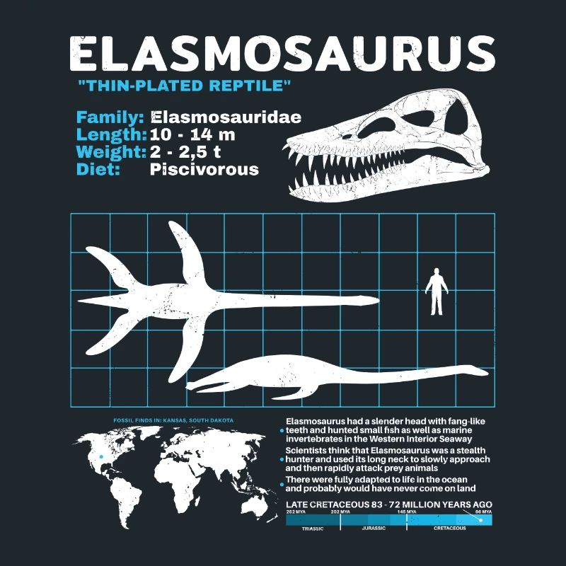Fiche d’information sur Elasmosaurus