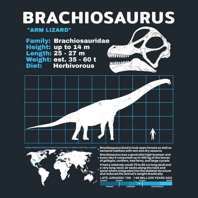 Brachiosaurus Datenblatt