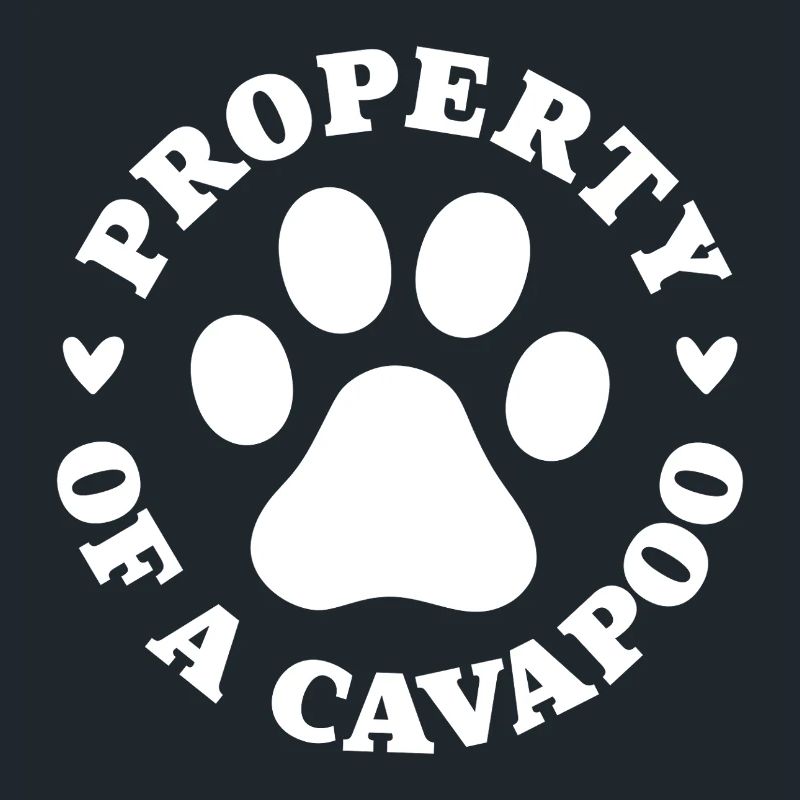 Eigentum eines Cavapoo