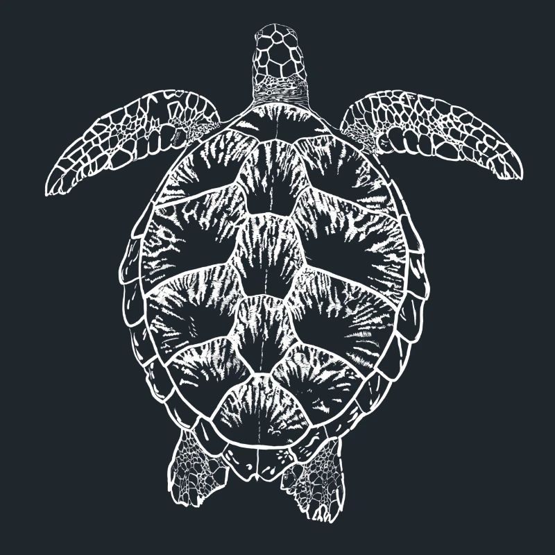 Turtle white2