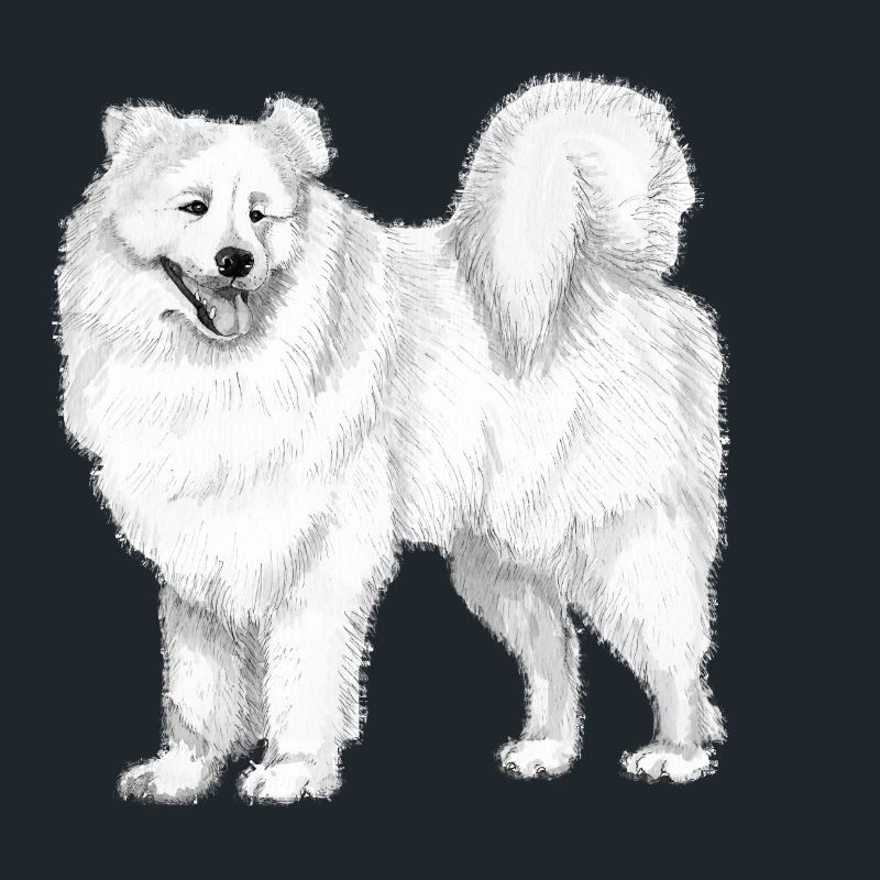 samoyed