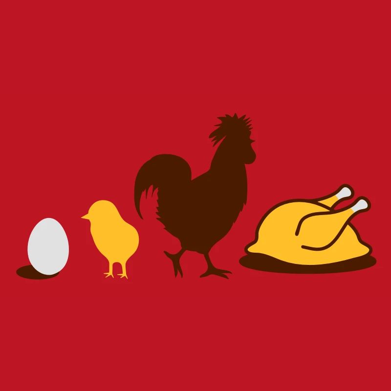 Egg,chick, rooster and chicken poultry Evolution