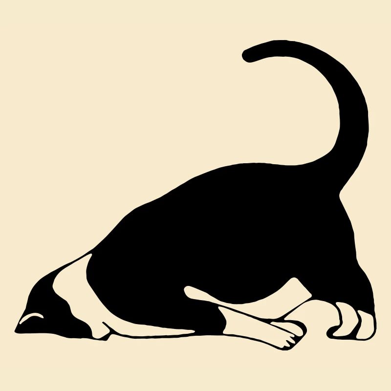 Sleeping cat