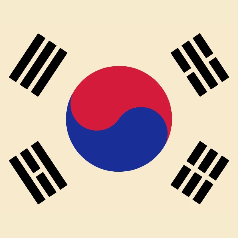 Drapeau Corée du sud / South Korean flag