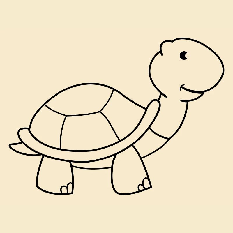 turtle