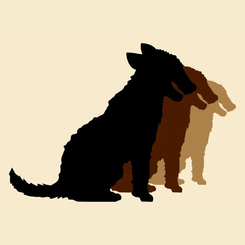 3 chiens assis équipe équipage trois amis silhouette
