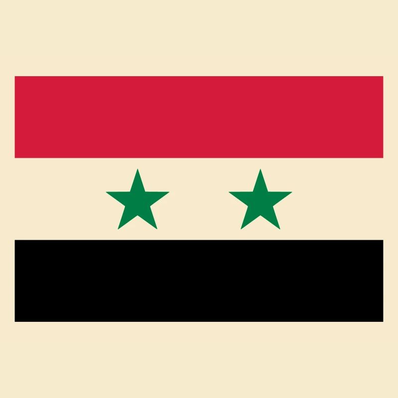 Syria flag / Drapeau Syrie