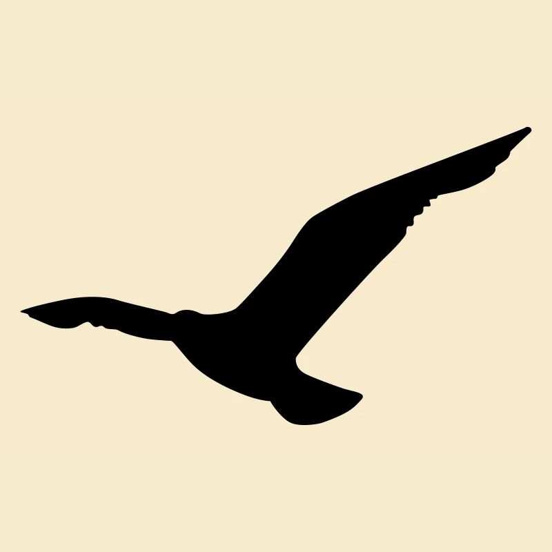 seagull