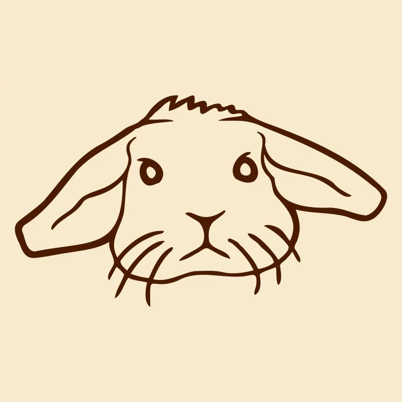 Bunny Rabbit Bunny Rodent Small Animal Cute