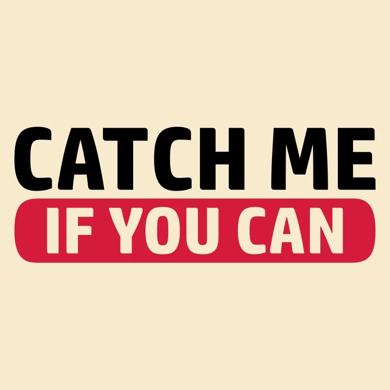 Jeu Catch Me