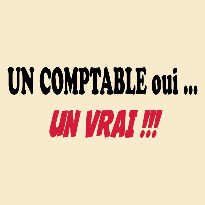 Un COMPTABLE ...