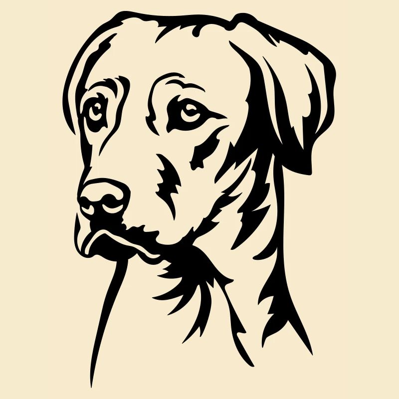 Rhodesian Ridgeback Head