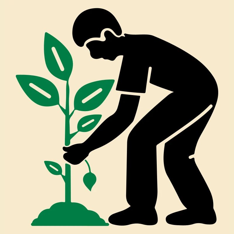 Tree Plants Garden Environment