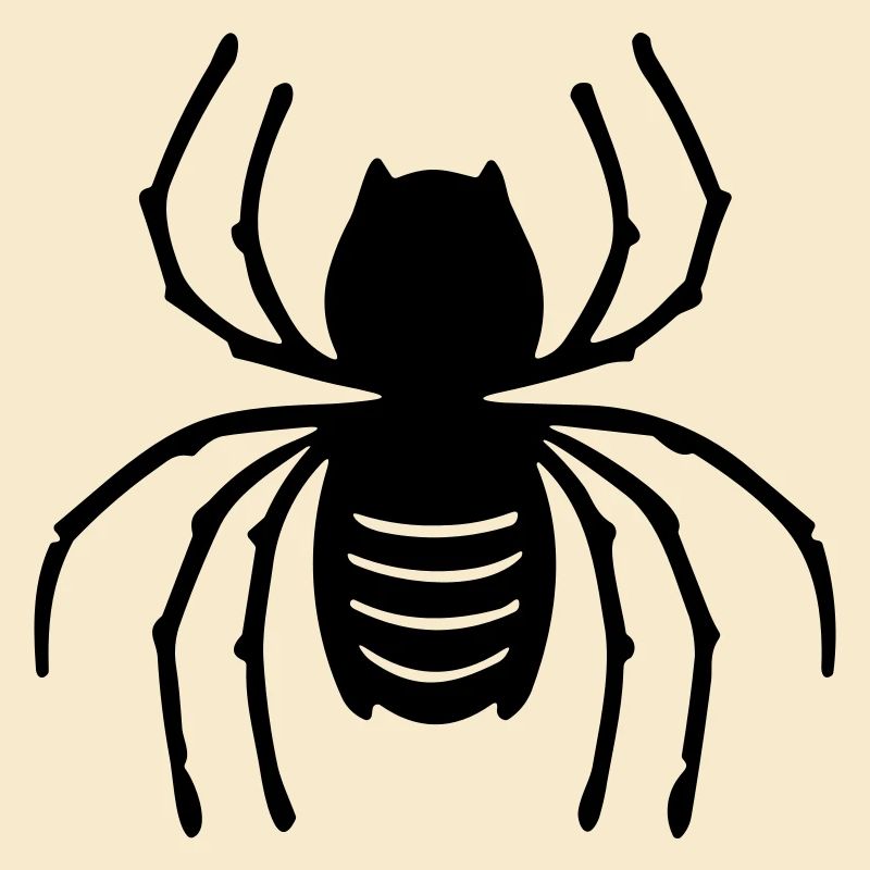 Spinne