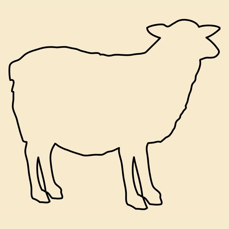 Schaf