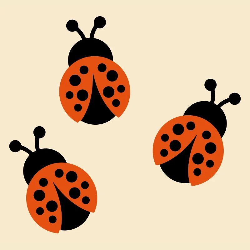 Ladybug