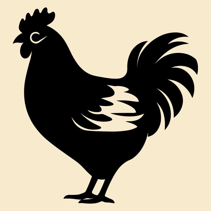 poule