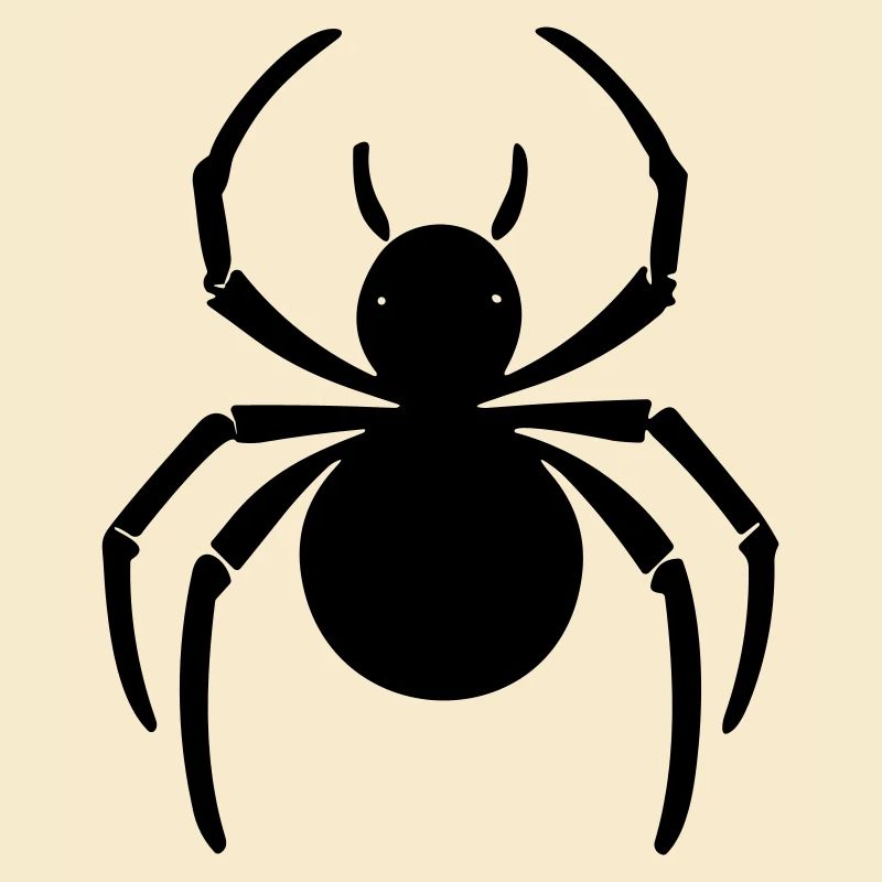 spider