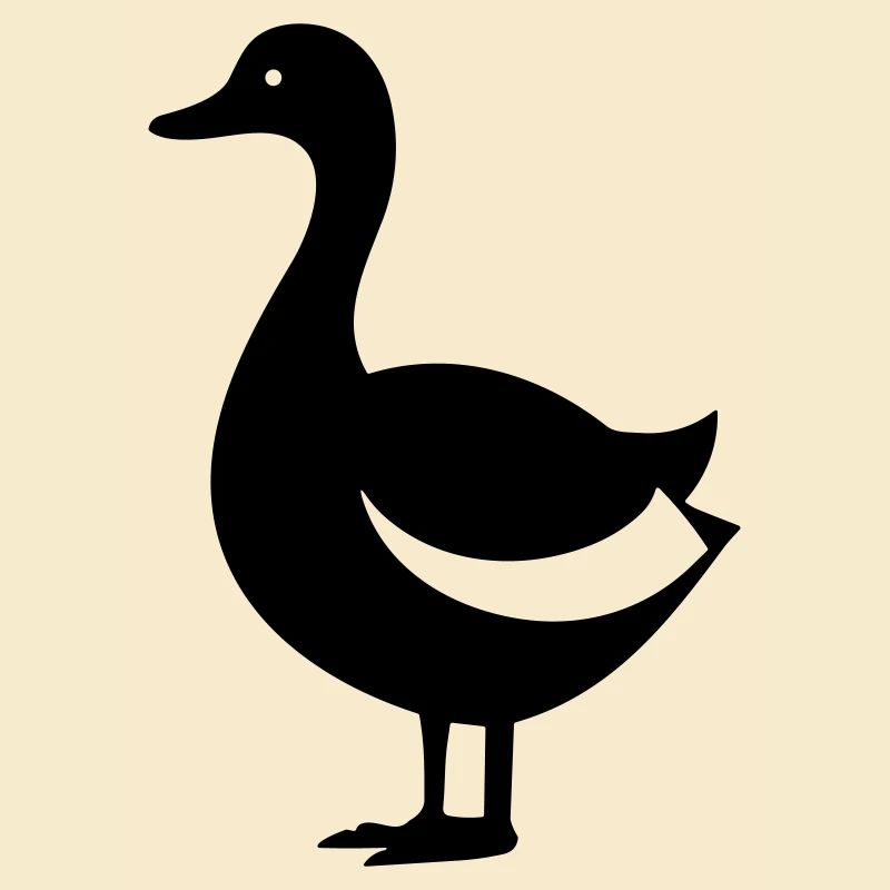 Canard