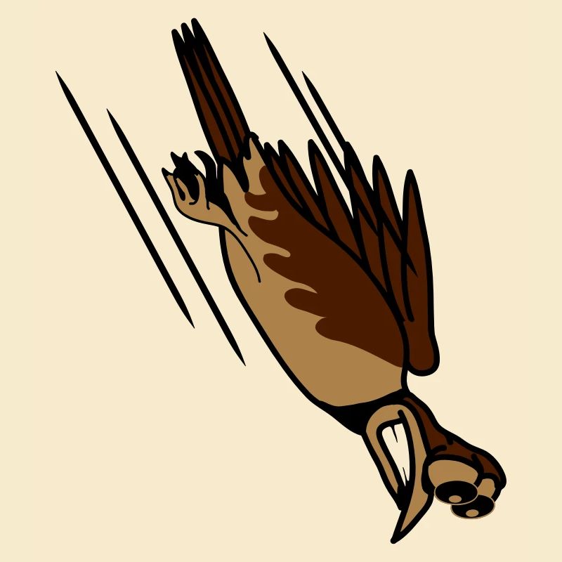 funny bird crash cool funny comic