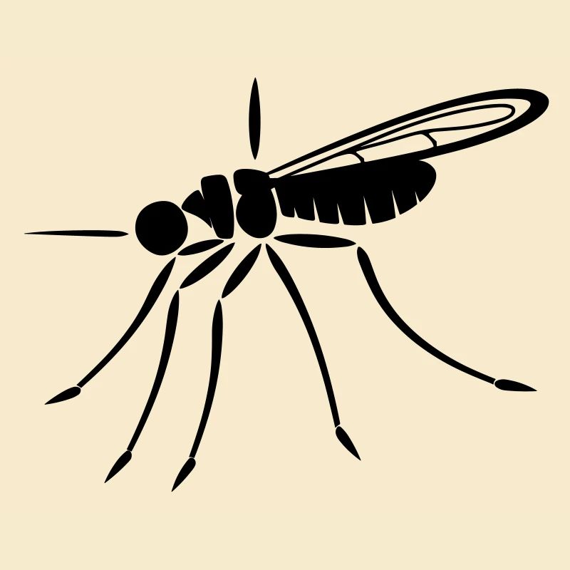 mosquito