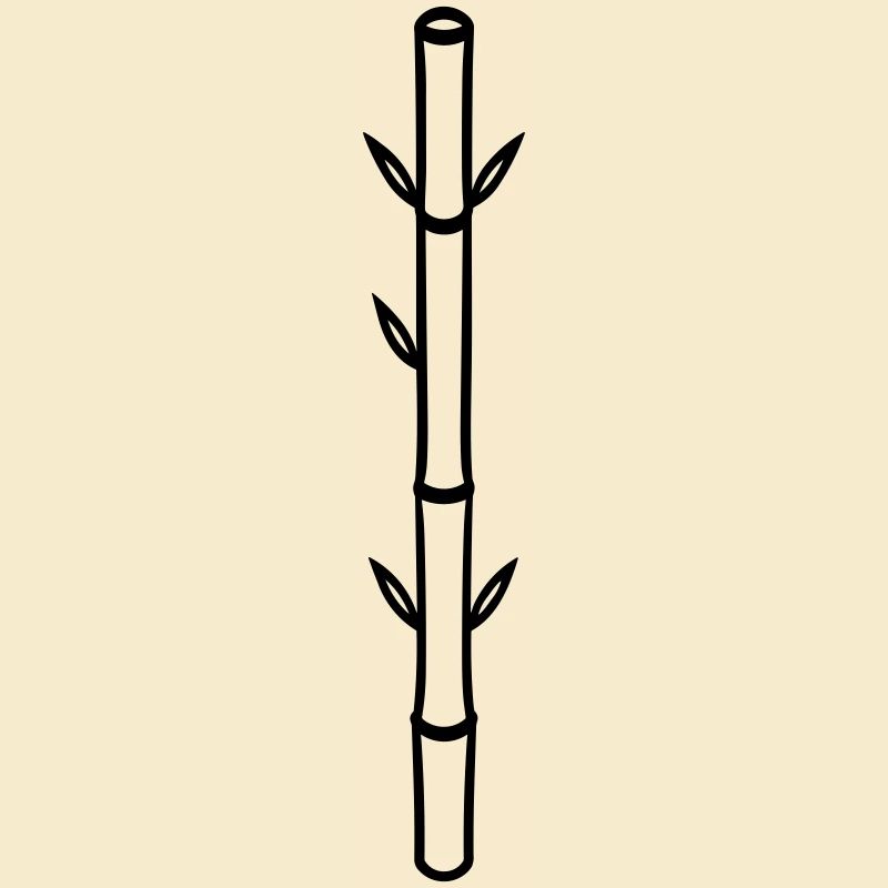 bamboo