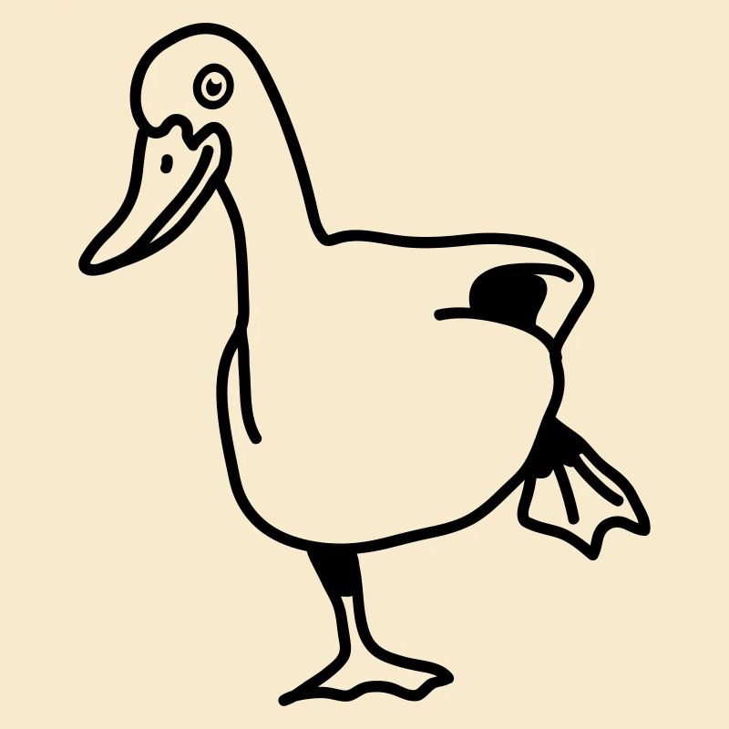 duck