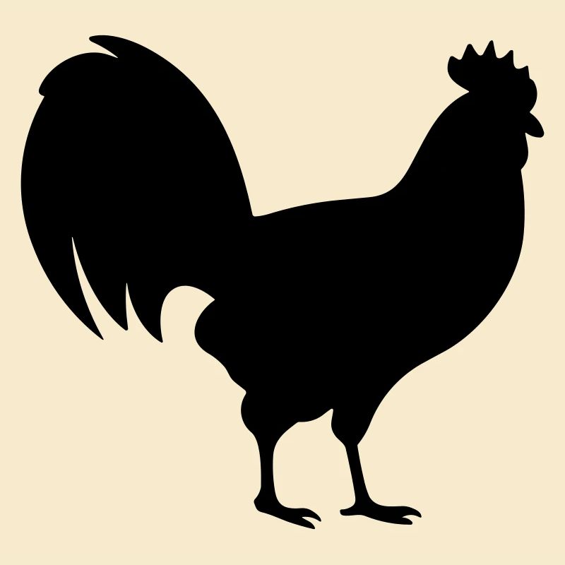 Poule