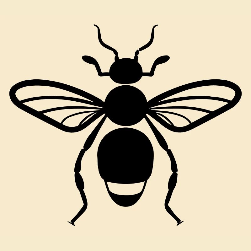 Flea insect