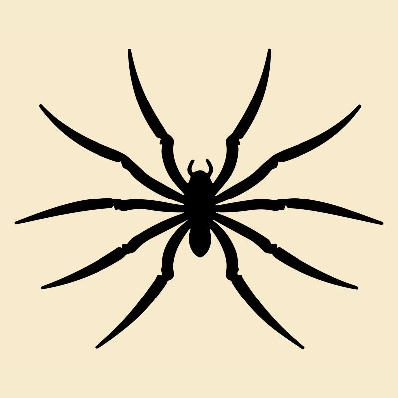spider