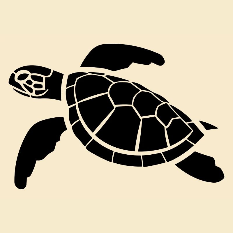 tortue