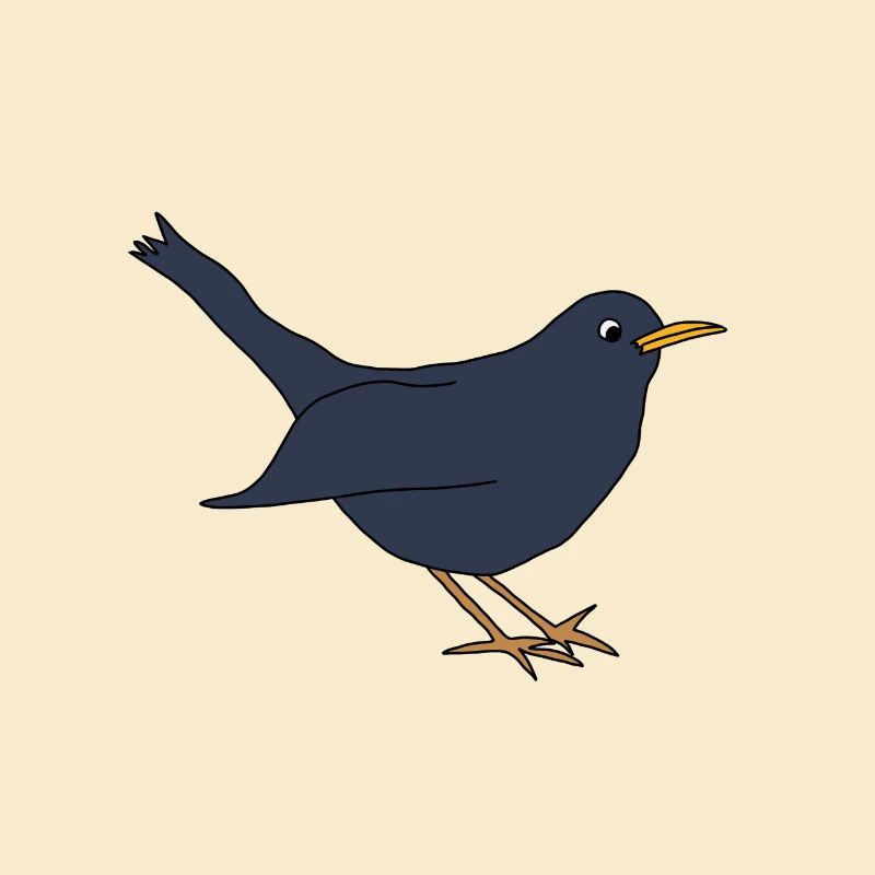Amsel *** blanko