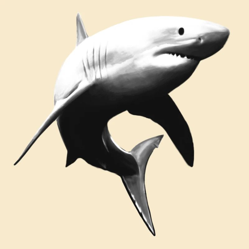 Great white shark