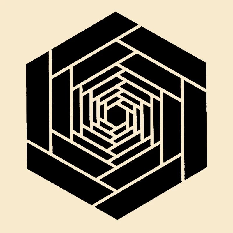 Hexagone infini noir fleur