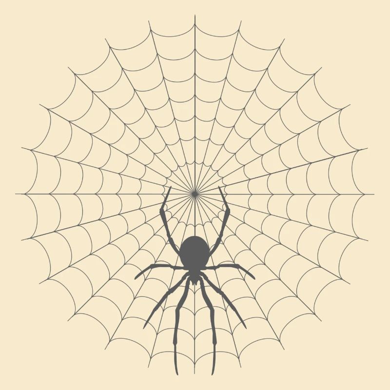 Spider Web Silhouette