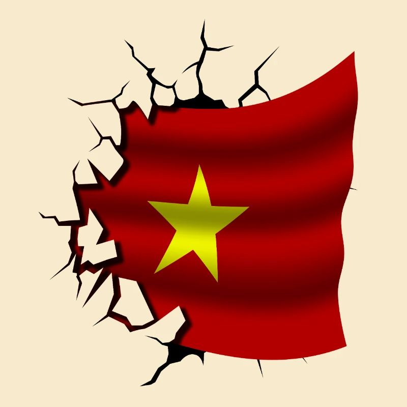 Drapeau du Vietnam - Vietnam - Drapeau Broken Design