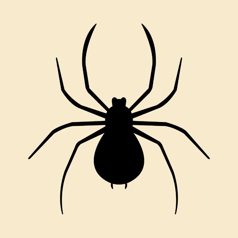 Spinne