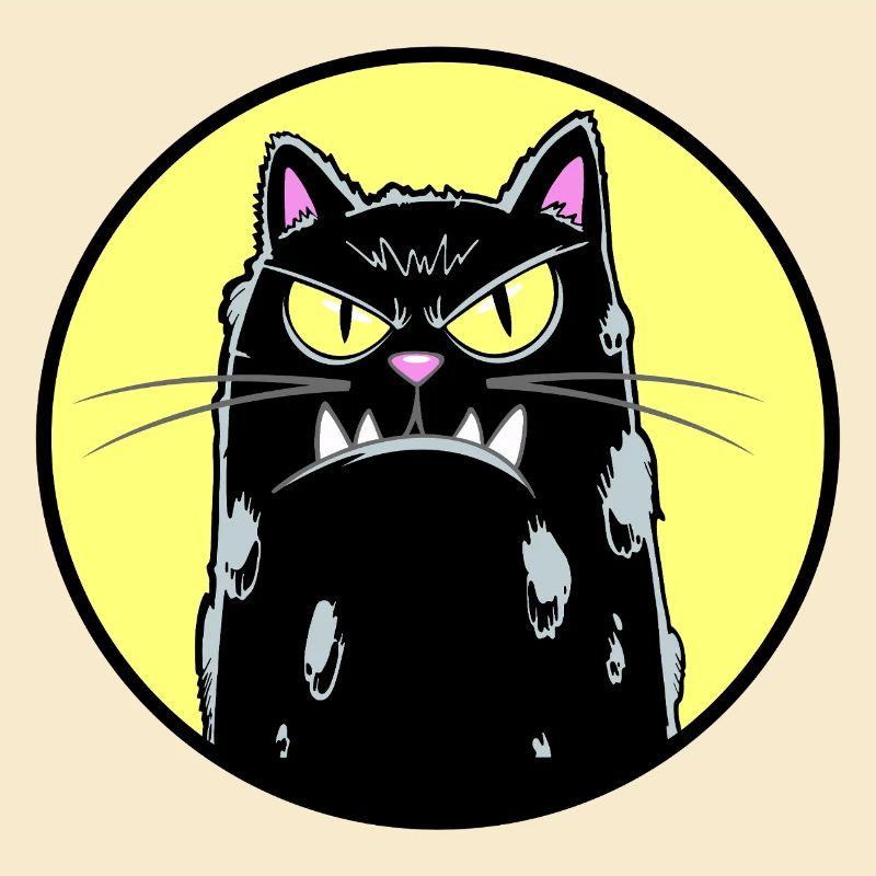 Chat noir