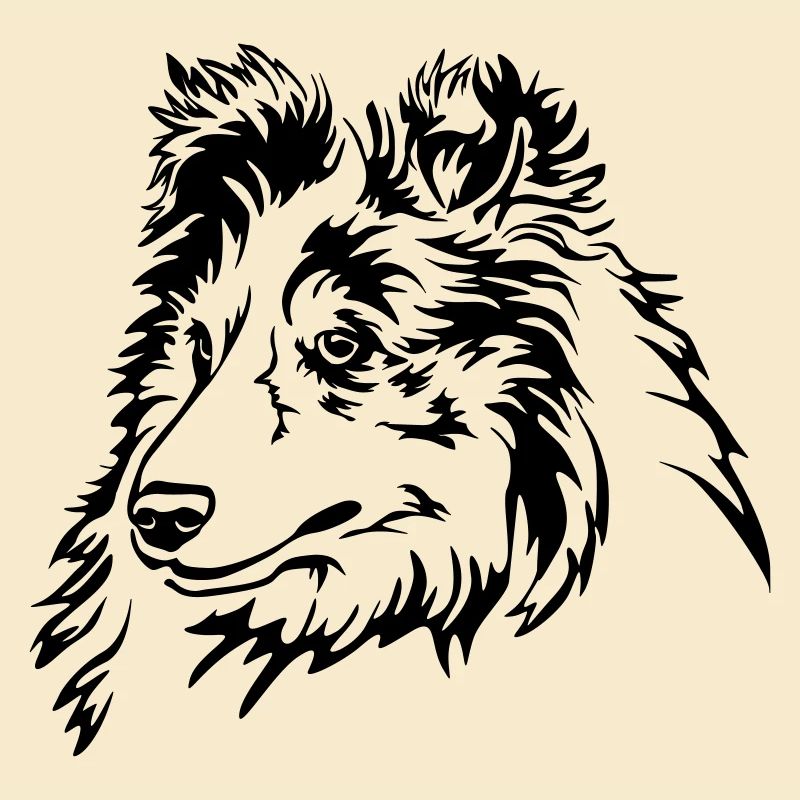 Sheltie Head