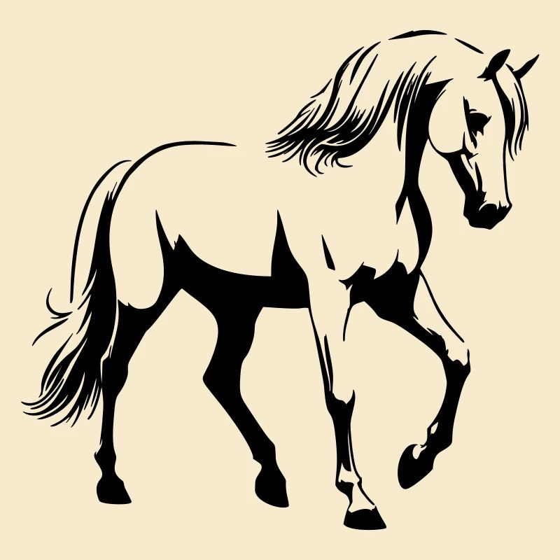 Cheval Arabe