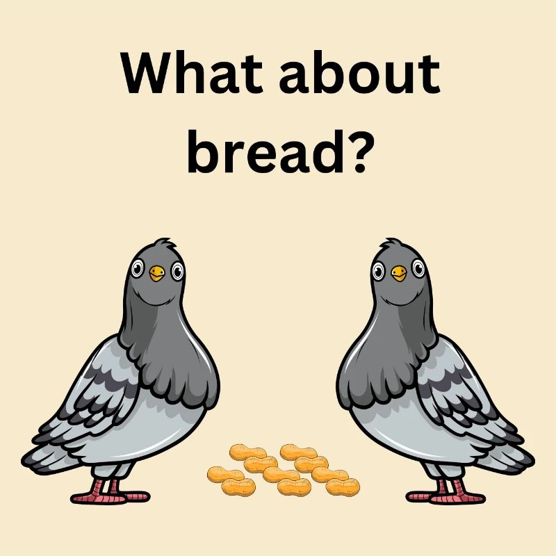 what about bread?