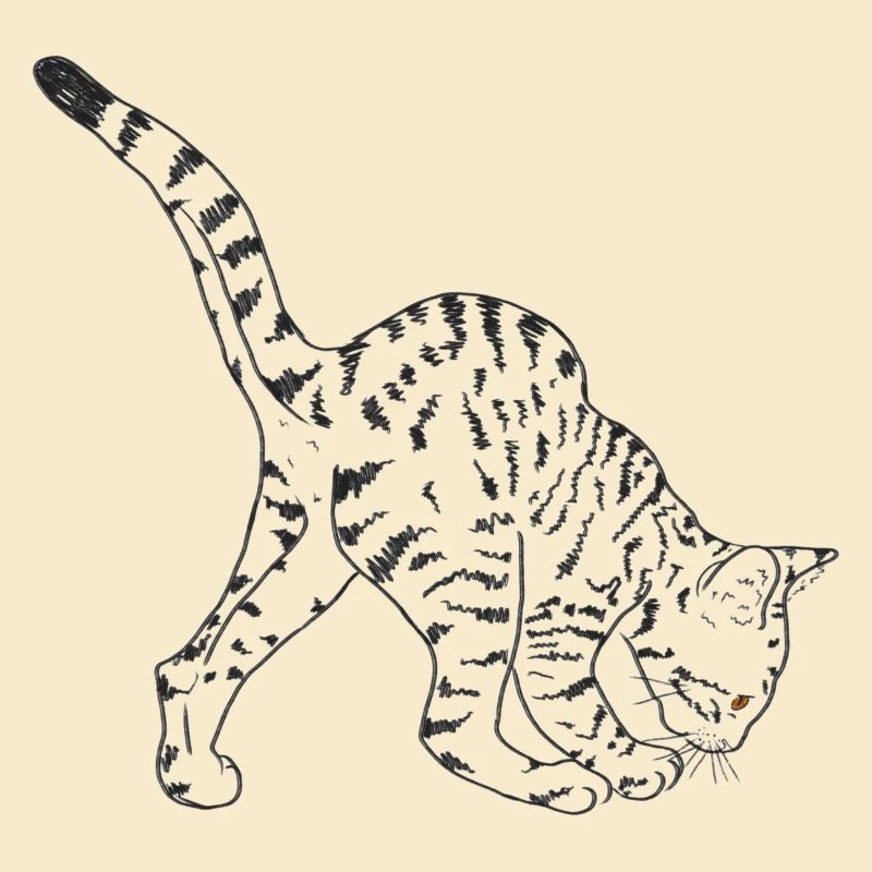 Chat noir