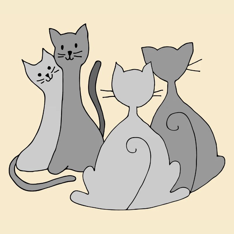 Chats