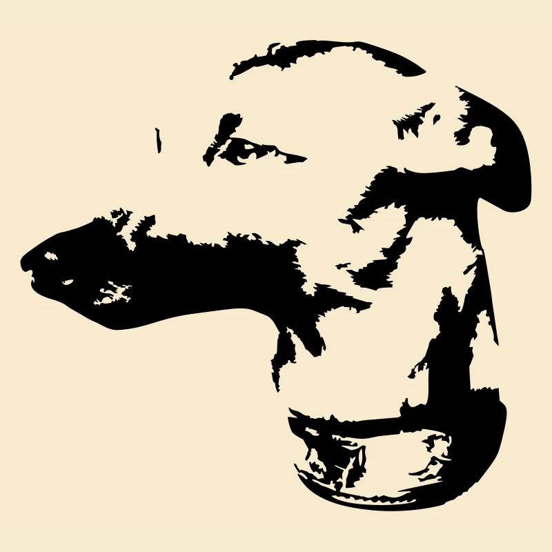Whippet head