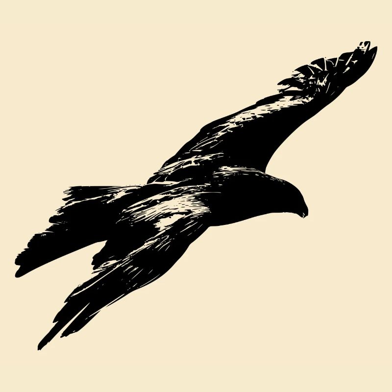 aigle