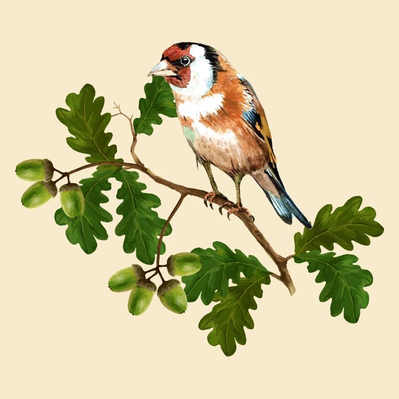 Oiseau coloré