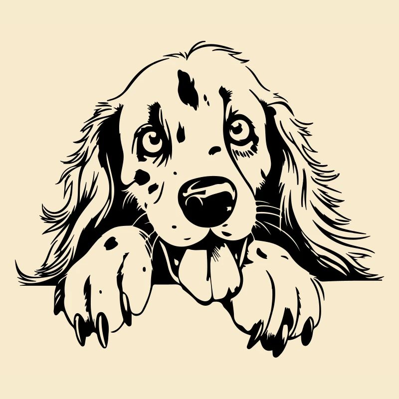 Setter mignon